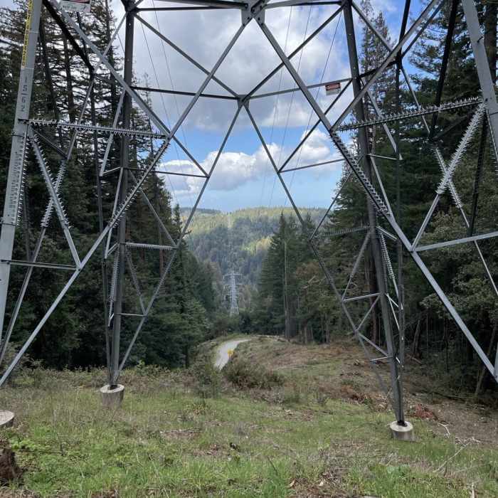 Near Alambique Trail