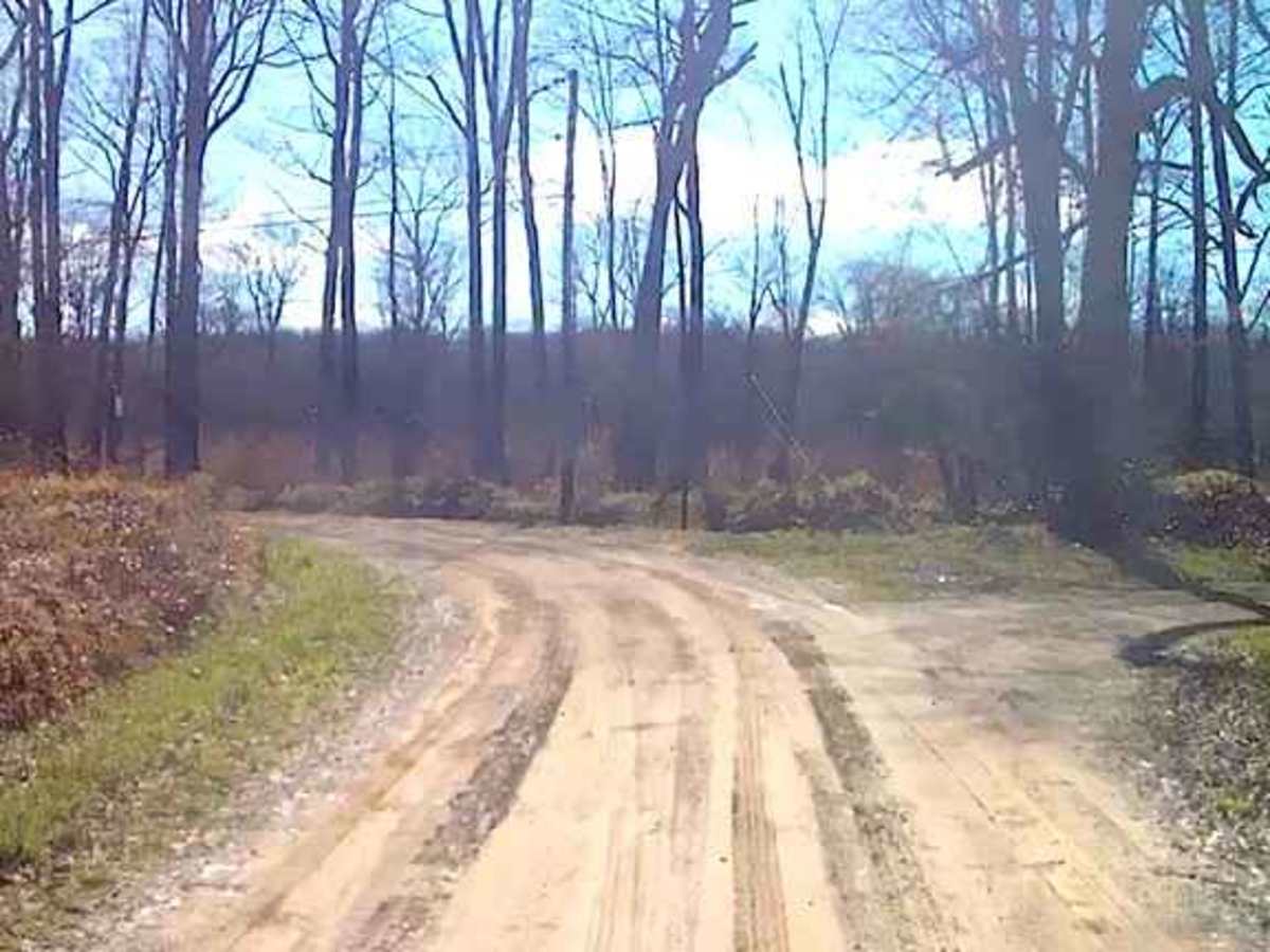 Weilder Road photo 6