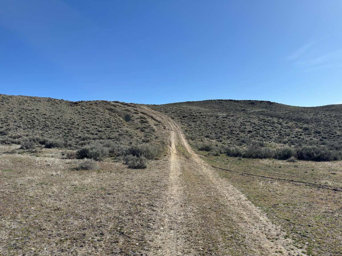 BLM 122 photo 5