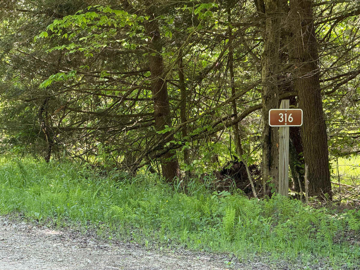 Townline Run - FS 316 photo 2
