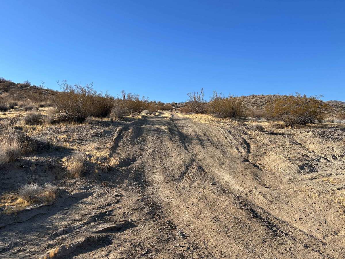 Pioneer Ridge photo 5