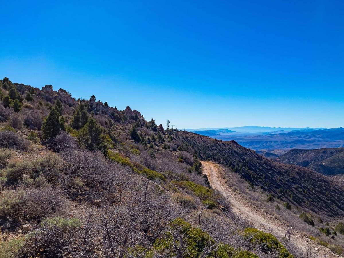 Ella Mtn. Fire Lookout trail photo