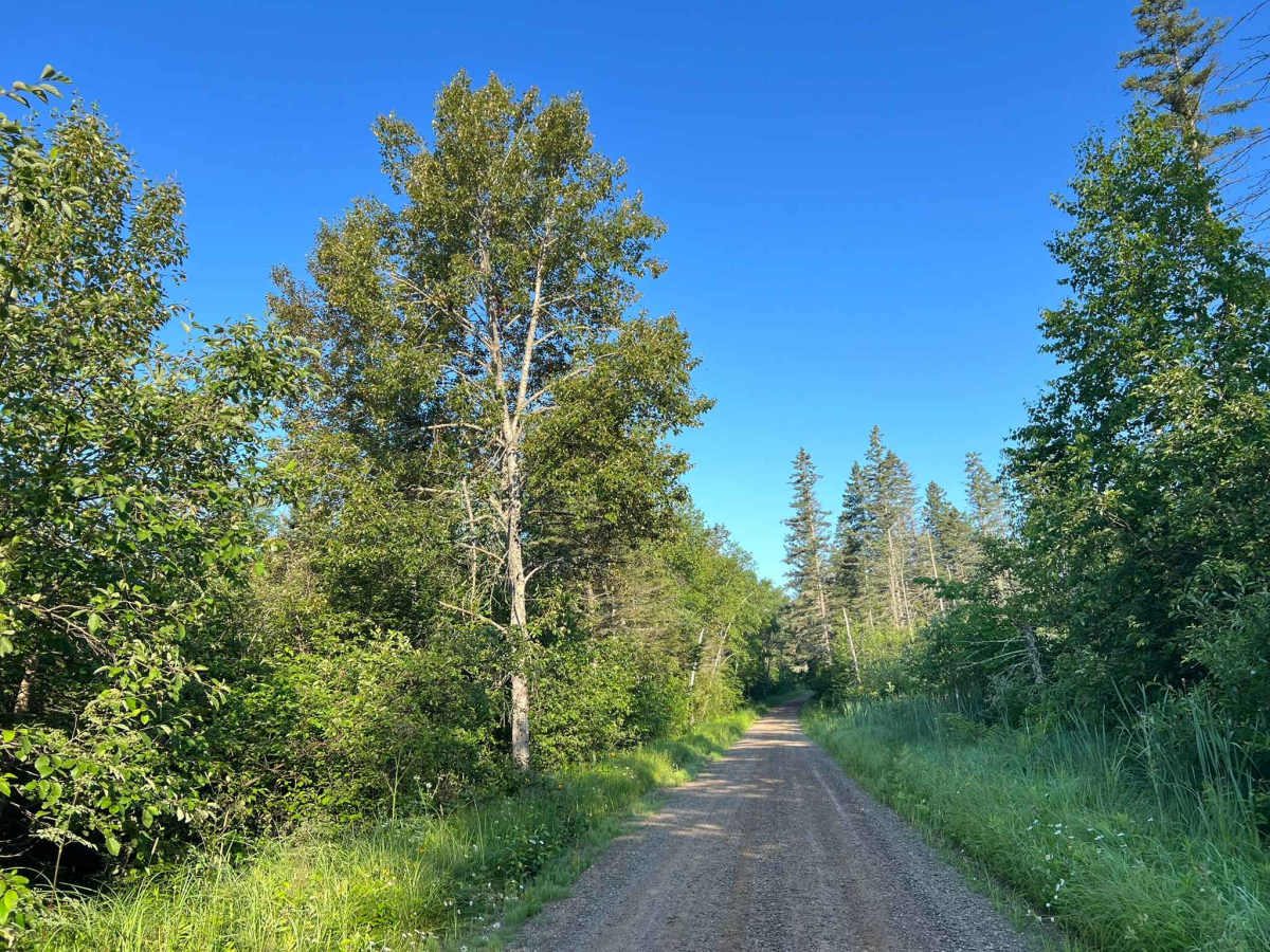 Spring Pond Road photo 3