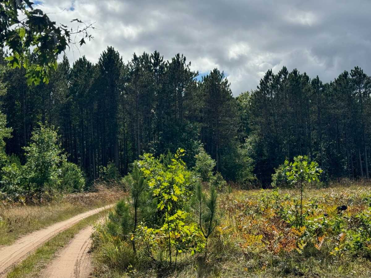 FS 7120 trail photo