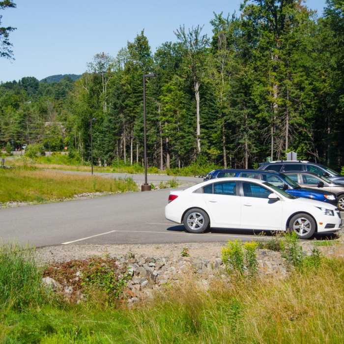 Near Cobble Hill Near Cobble Hill