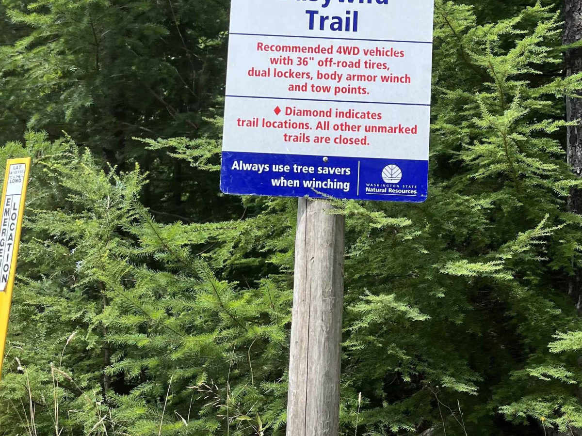 Busywild Trail trail photo
