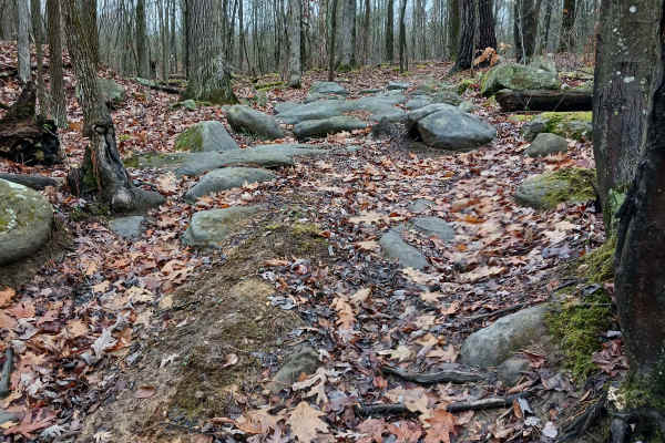 OHV 24 - Rock Run Recreation Area