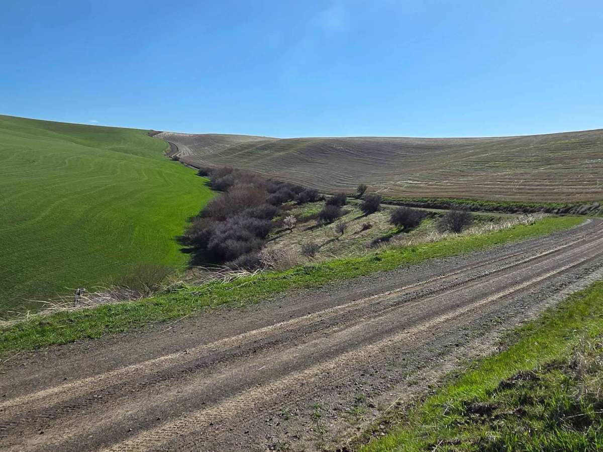 Range Grade Road photo 2