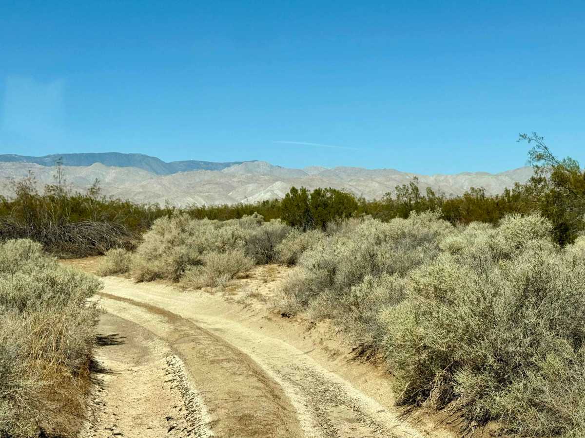 South Carrizo Creek photo 6