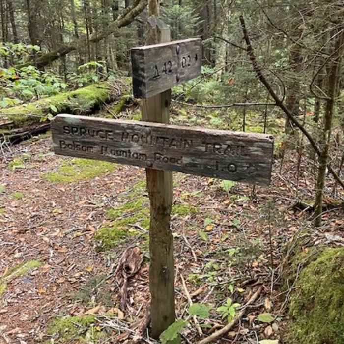 Near Spruce Mountain Trail