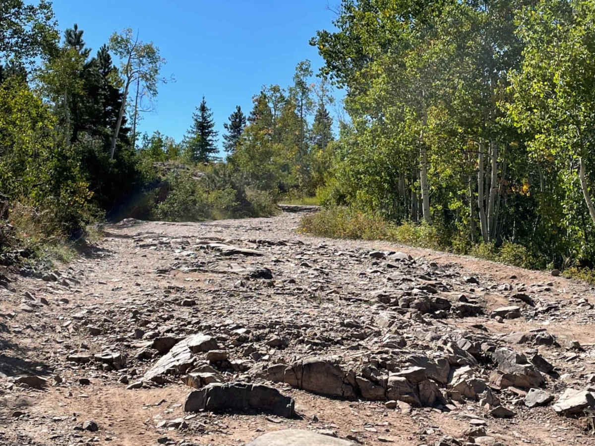 Lime Creek Road photo 2