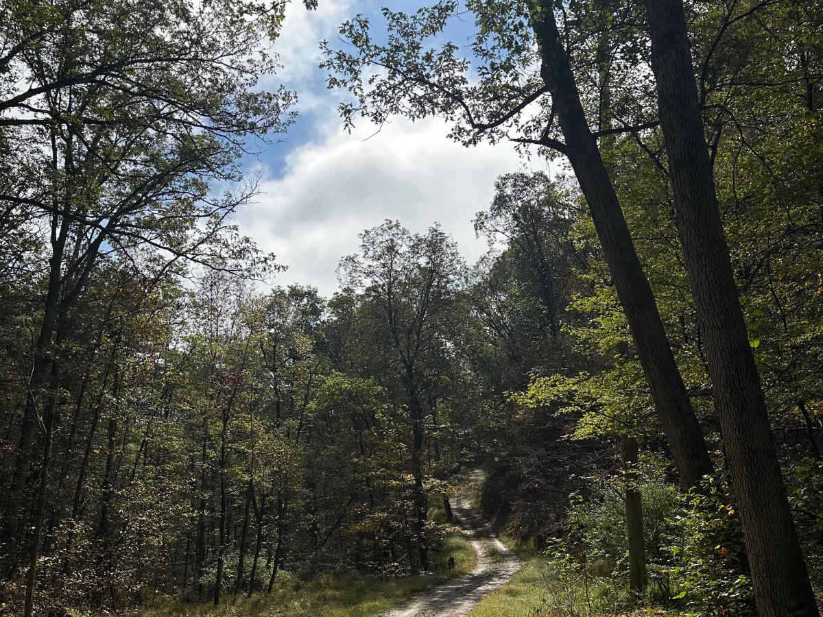 Treasure Road  trail photo