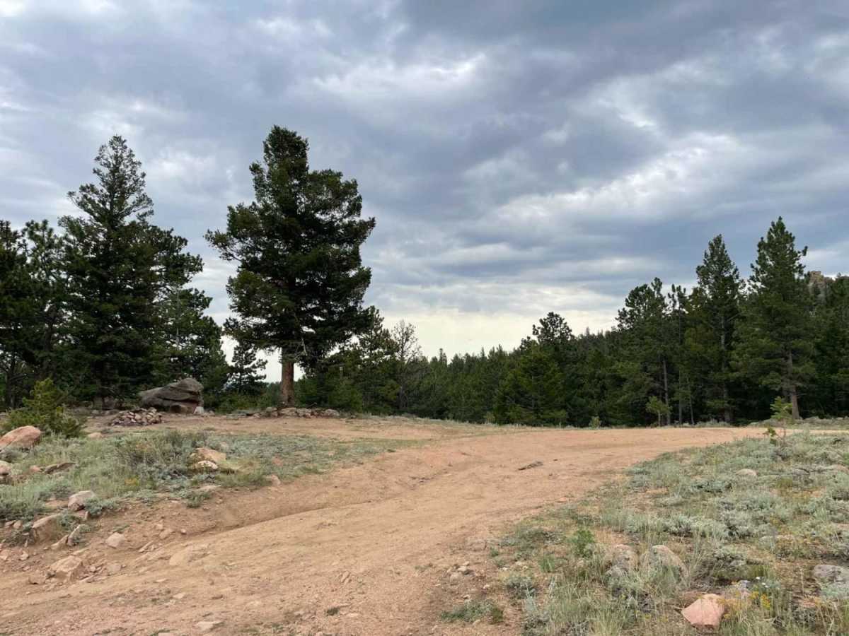 Twin Mountain Trail photo 3