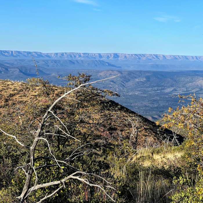 Near Arizona Trail Passage 23: Mazatzal Divide Near Arizona Trail Passage 23: Mazatzal Divide