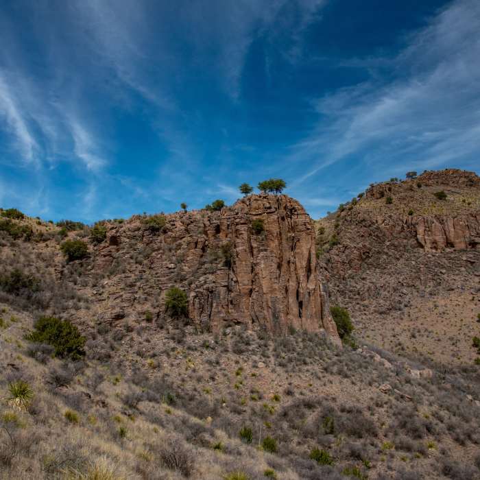 Near Indian Lodge/Montezuma Quail Loop