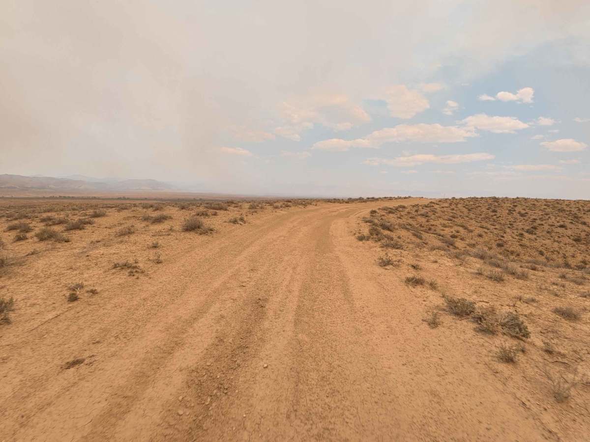 BLM 173 photo 5