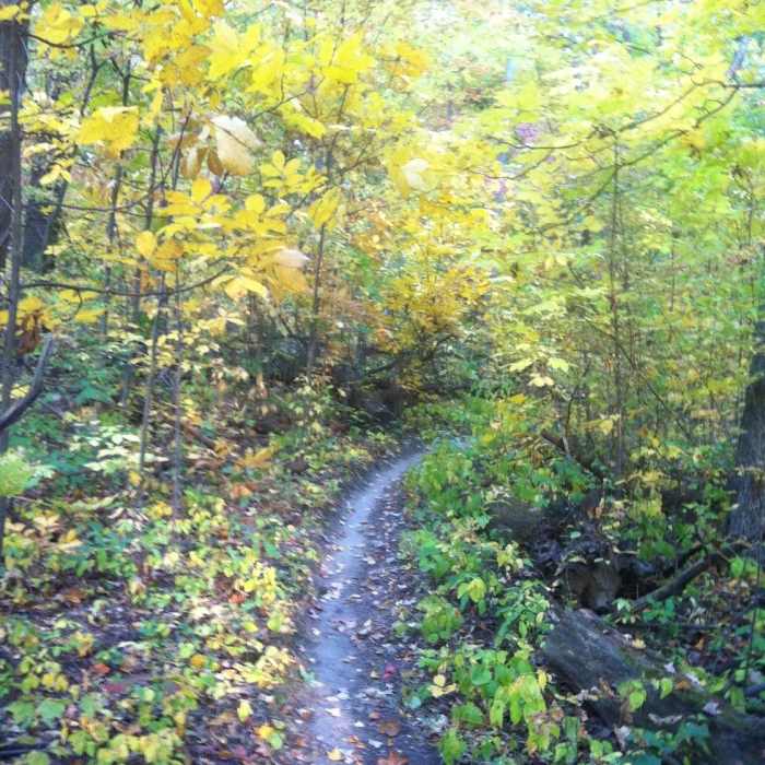 Near Highland State Recreation Area