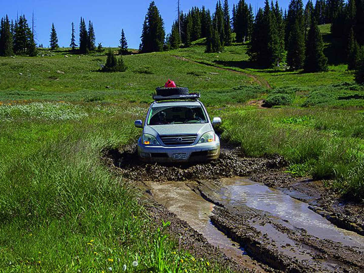 Grizzly Jeep Trail trail photo