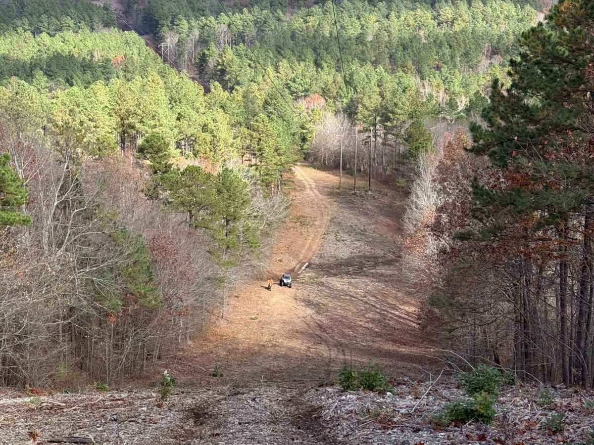 Power Lines trail photo