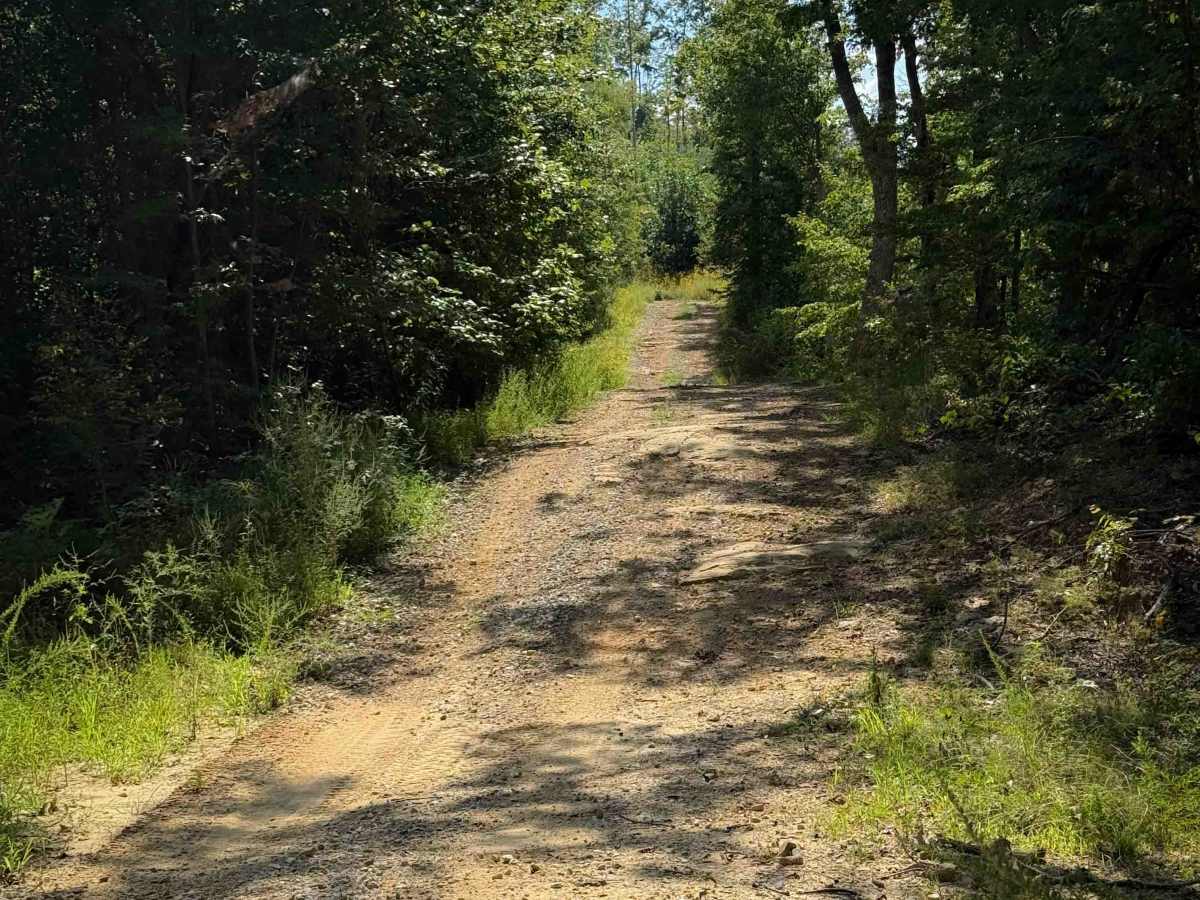 Shack Creek Trail photo 4