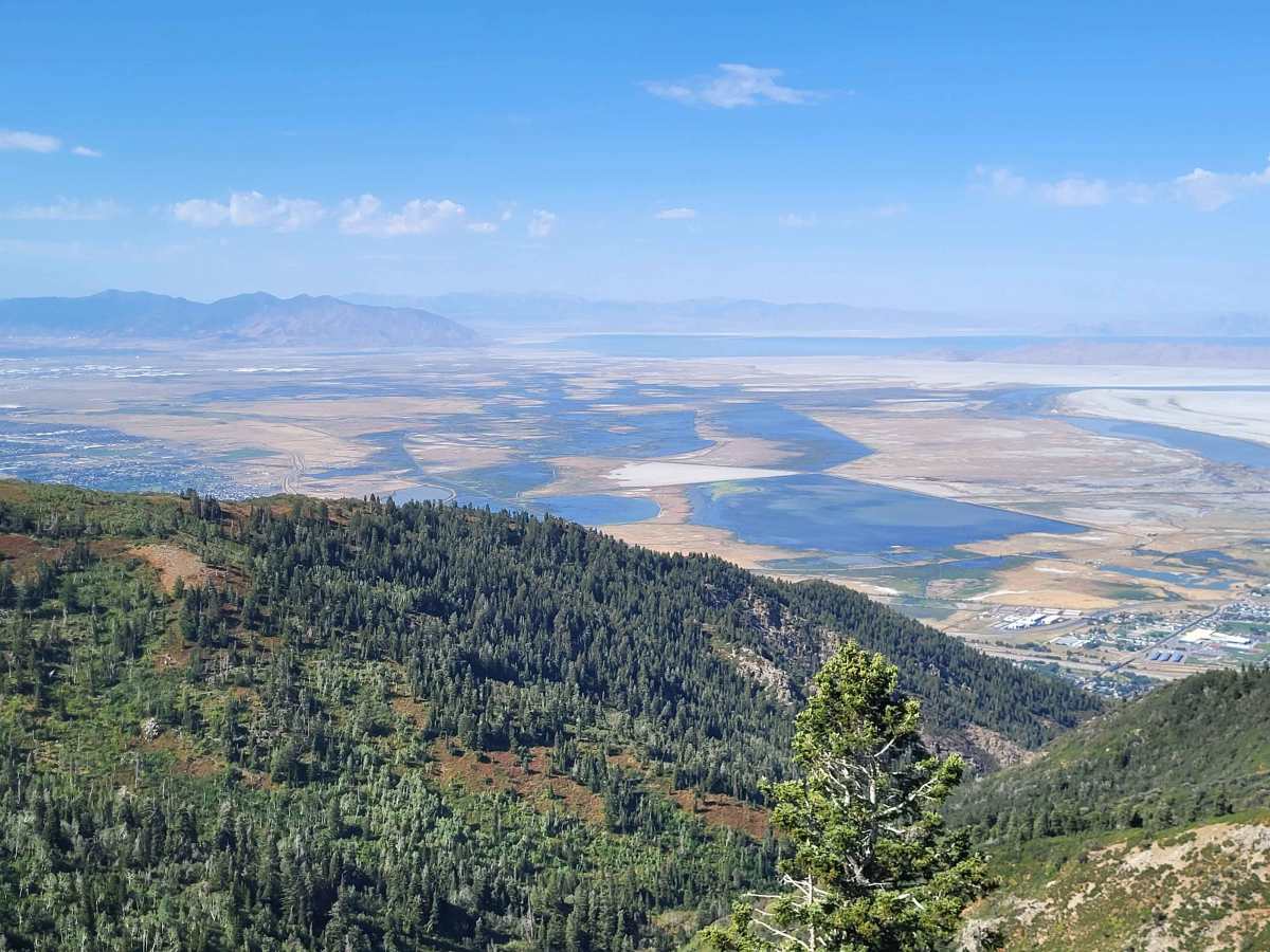 Steed Canyon Overlook trail photo