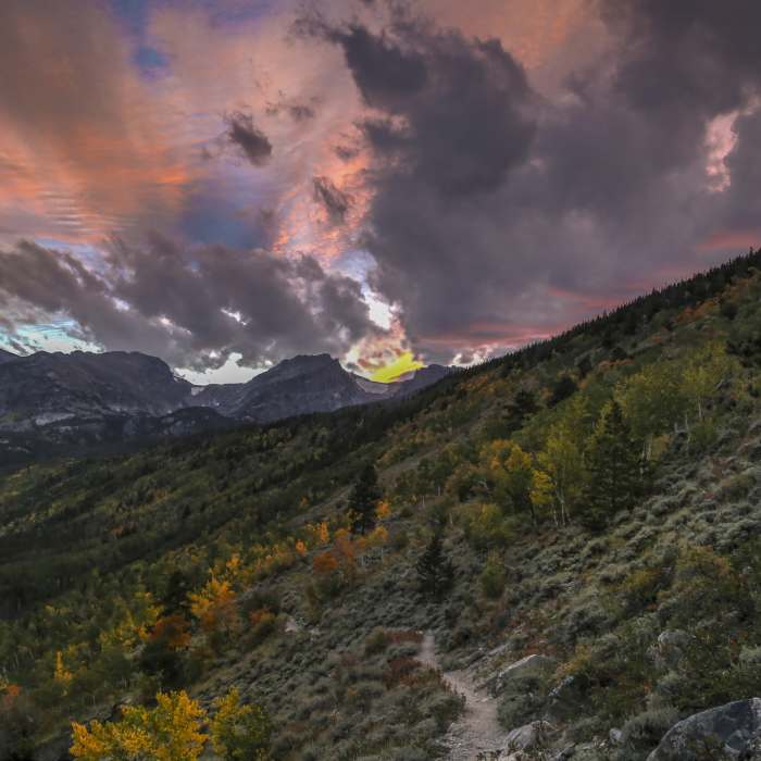 Near Bierstadt Lake Trail