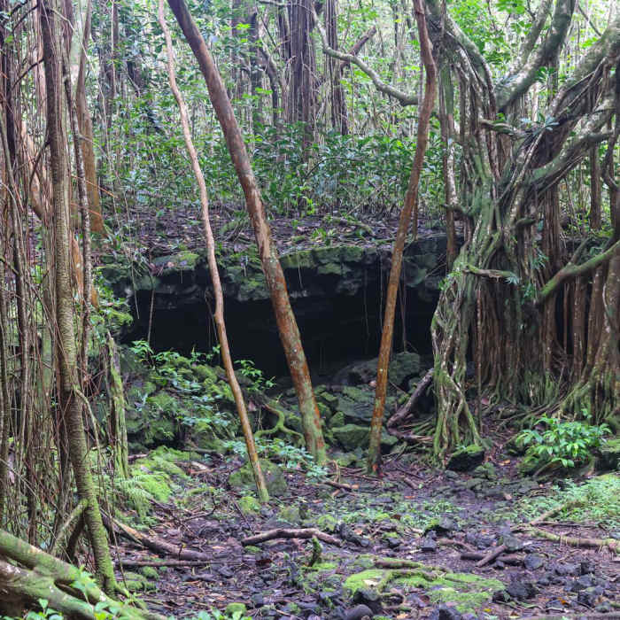 Near Ha'ena Beach / Shipman Beach via Puna Coastal Trail