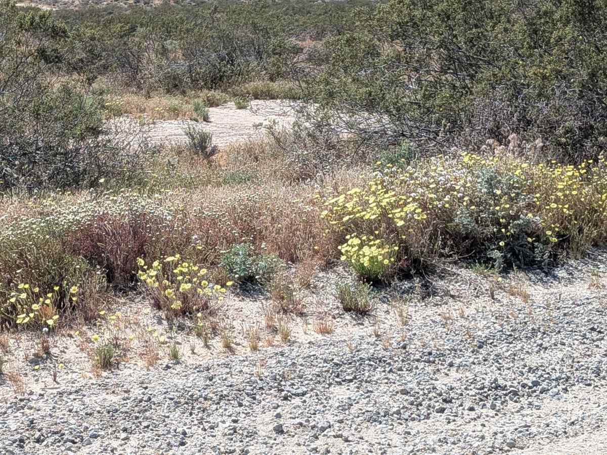 McIvers South Trailhead photo 6