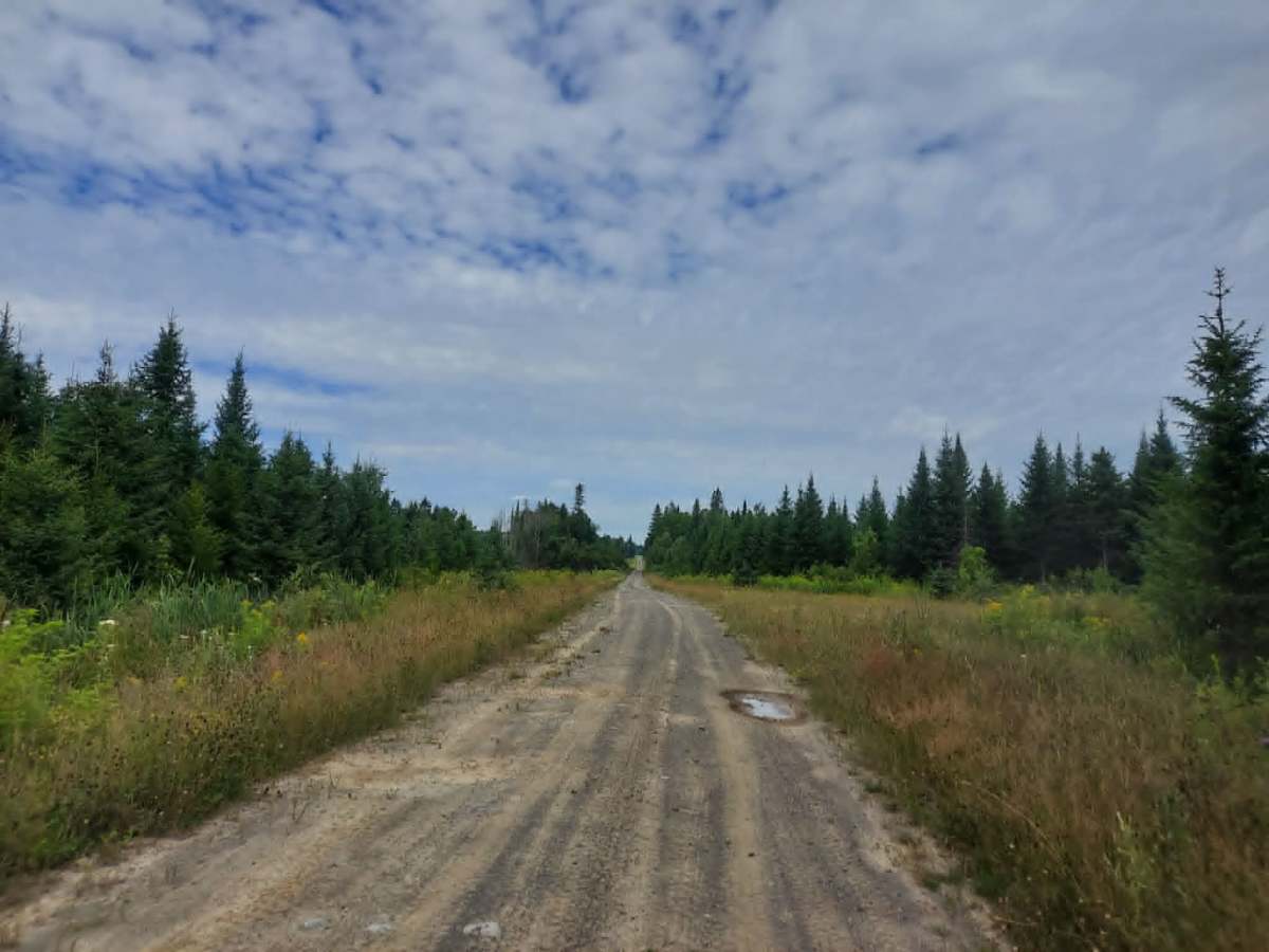 Link Trail photo 4