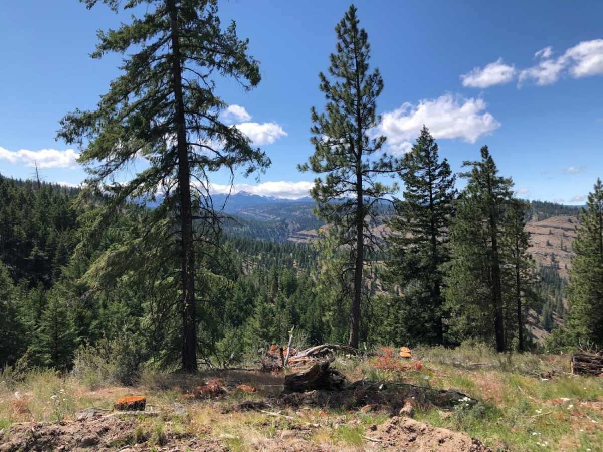 Meloy Canyon Road photo 3