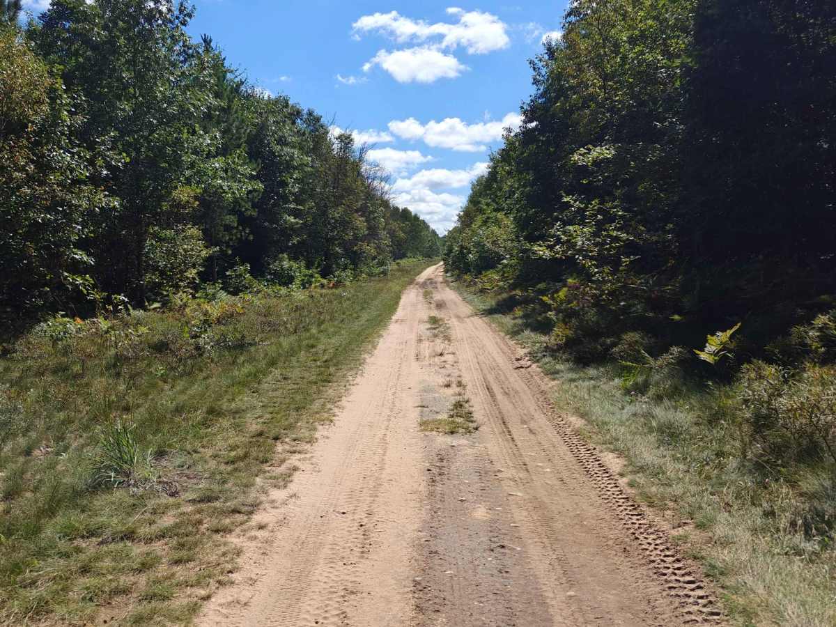 Townline Creek Trail trail photo