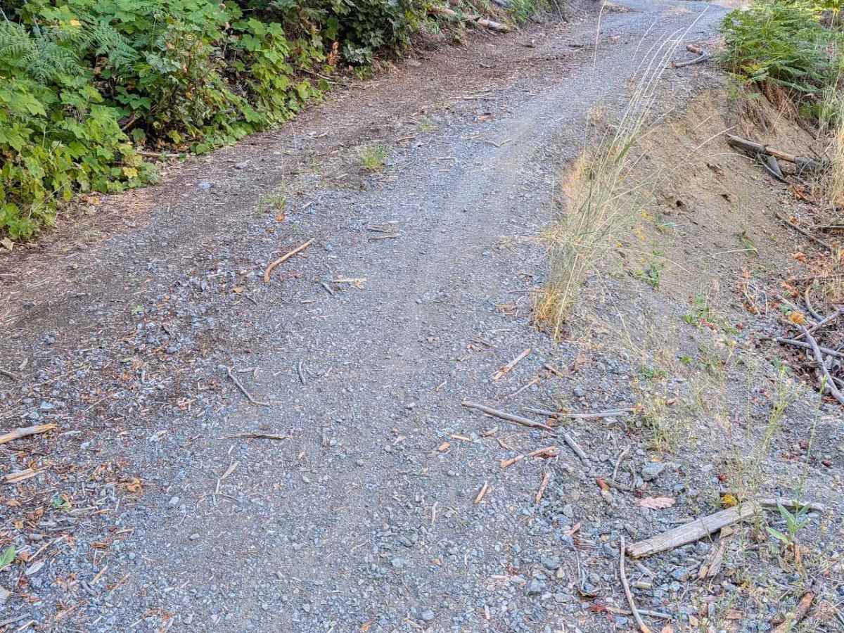  Midas Saddle Road - FS 30N16  photo 4
