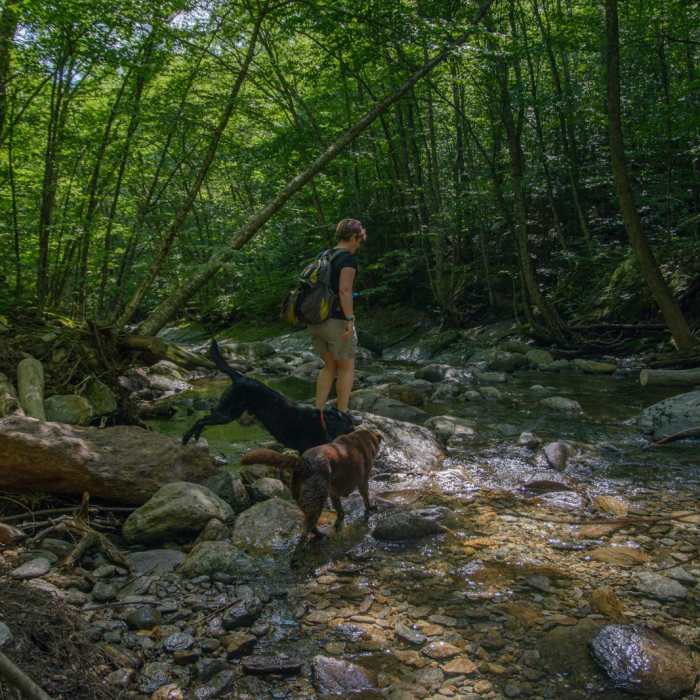Near Burnt Rock Mountain via Hedgehog Brook Trail Near Burnt Rock Mountain via Hedgehog Brook Trail