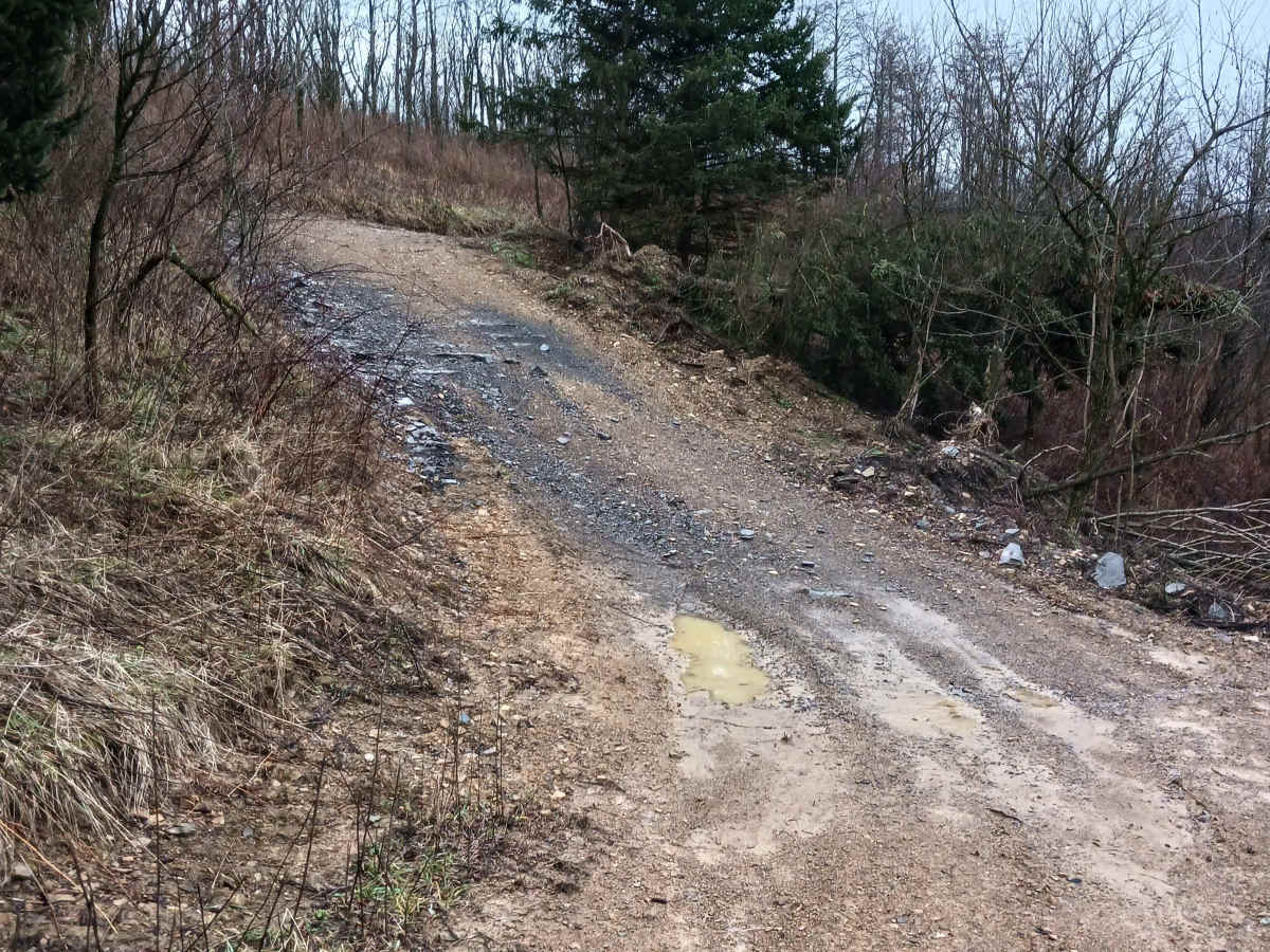 Rouge's Path - Rock Run Recreation Area trail photo
