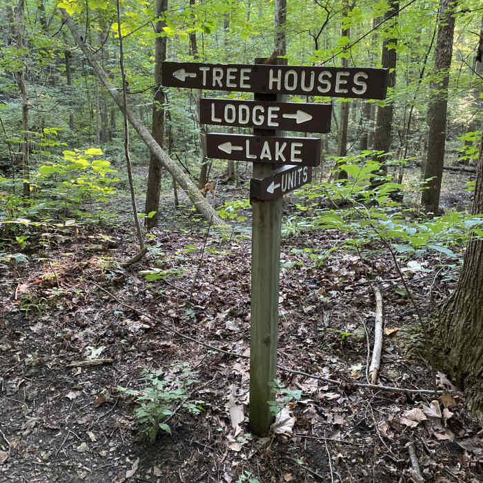 Near Yellow- Outer Loop Trail