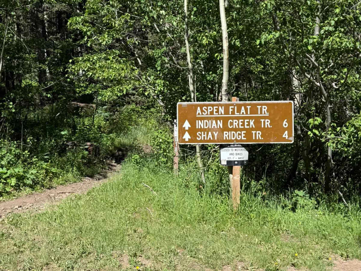 Aspen Flat Trail No. 018 photo 2