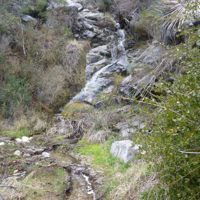 Near Strawberry Peak Trail #12W05