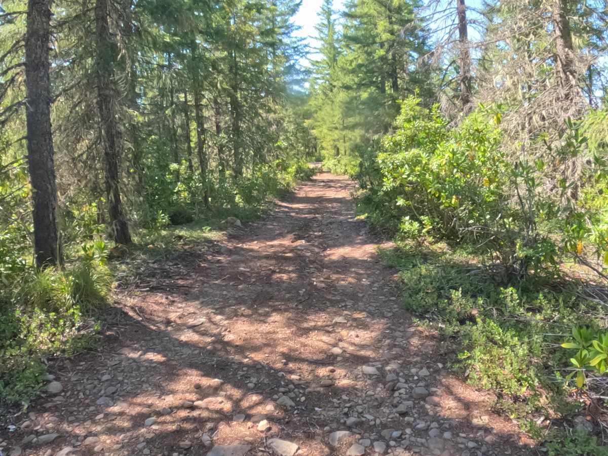 Presley Lake Turnoff - FS 2257516 photo 5