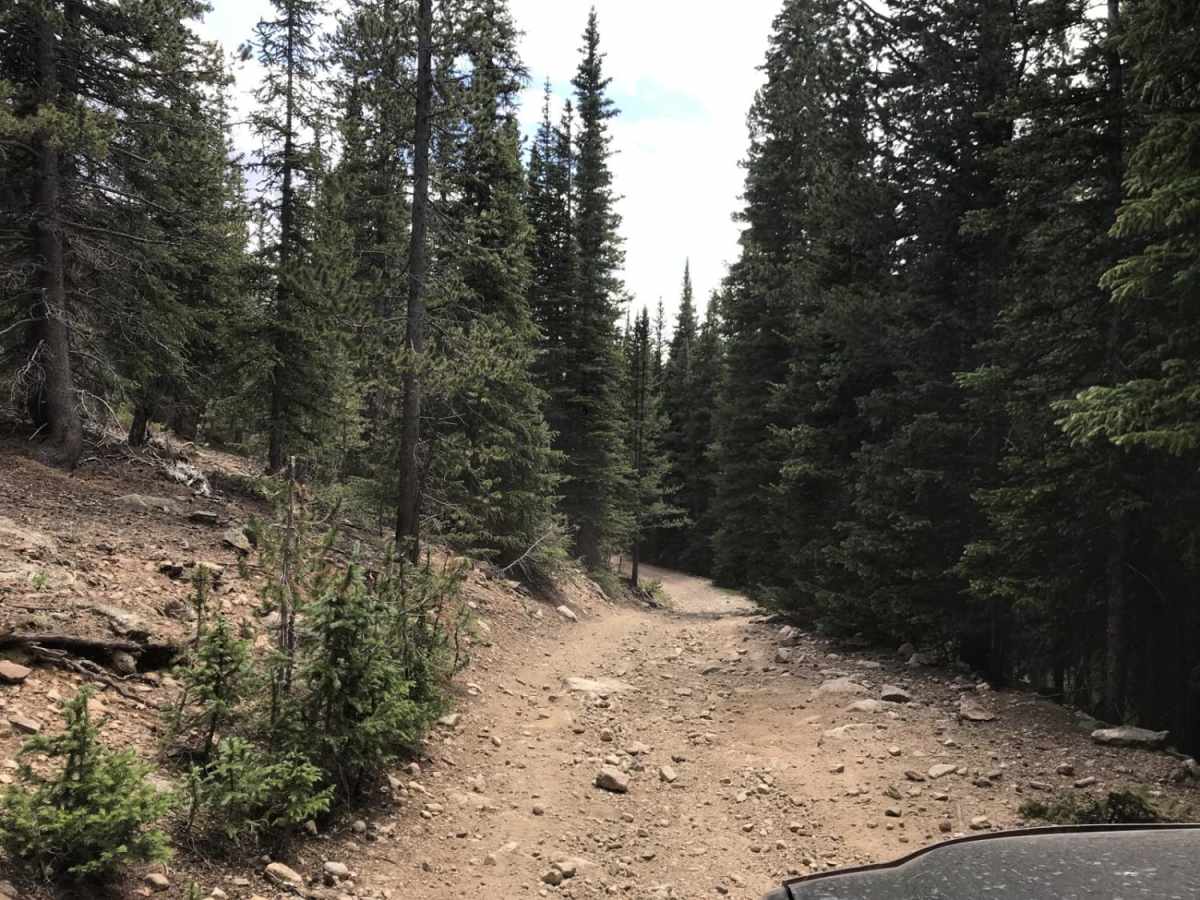 N Clear Creek Road photo 2
