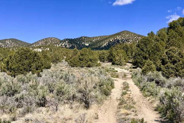 Upper Bald Mountain - FS 44214A