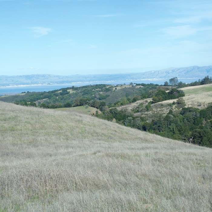 Near Clouds Rest - Meadow Trail Loop