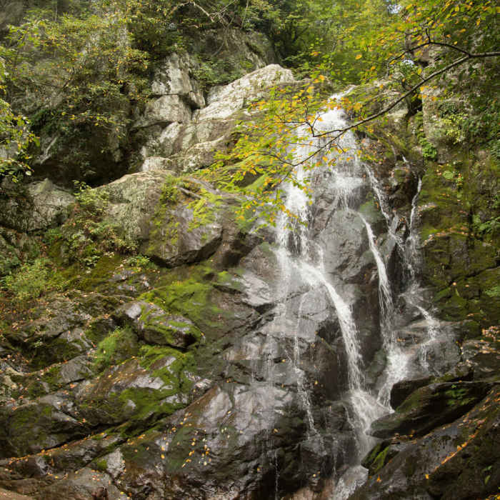 Near Stiles Falls Trail