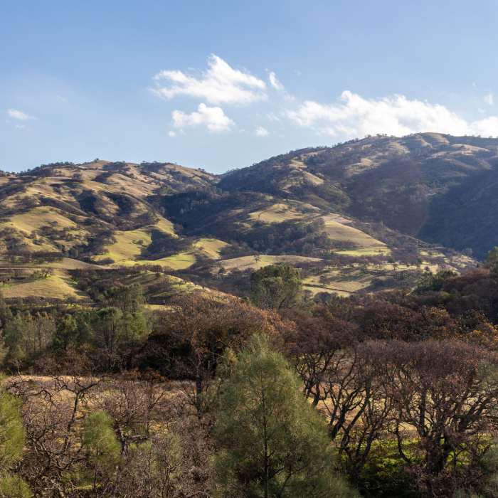 Mendenhall Springs hills from water tank on Oak Hills Trail. Near Oak Hills Nature Trail