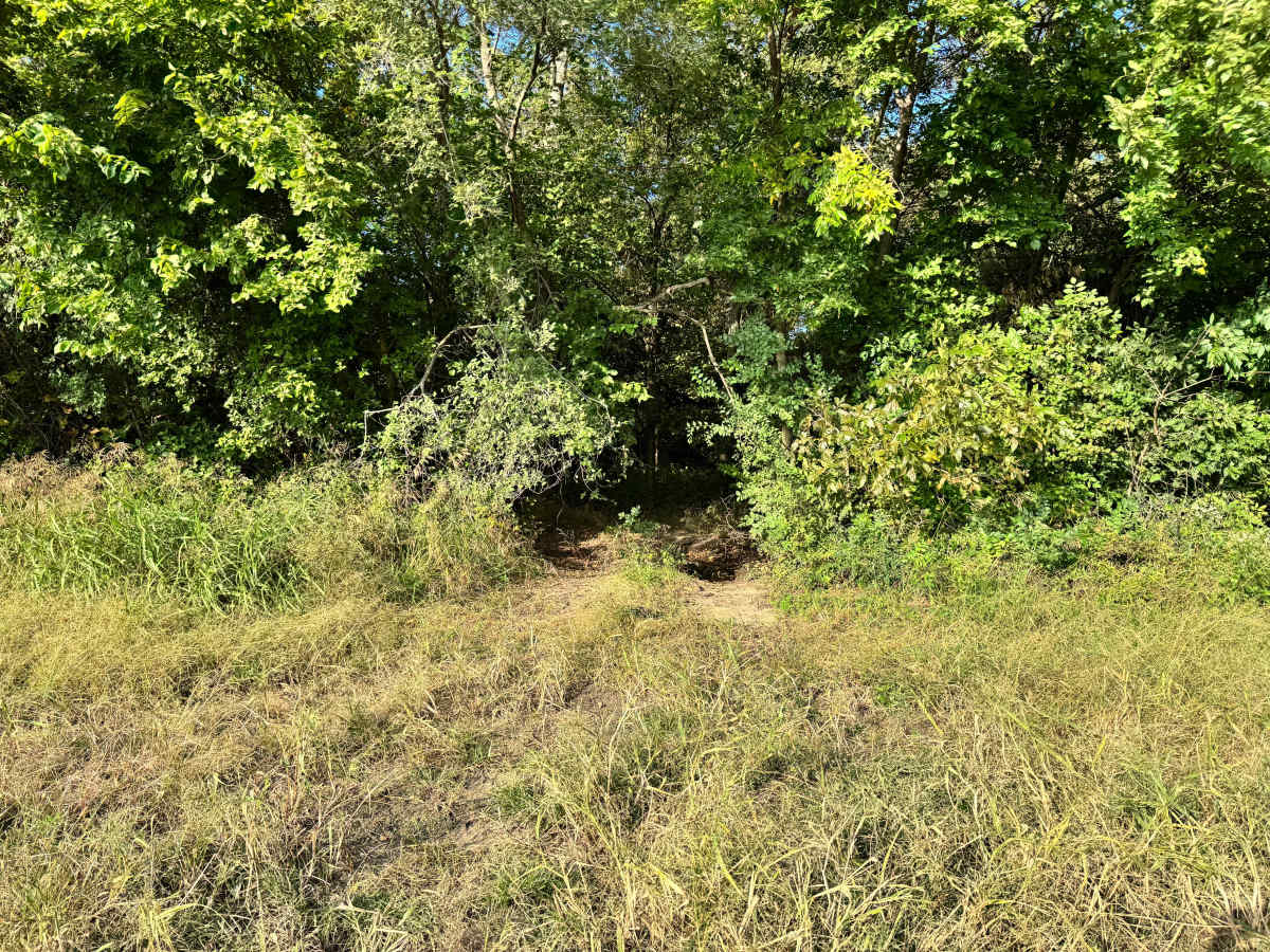 Jackknife Junction trail photo
