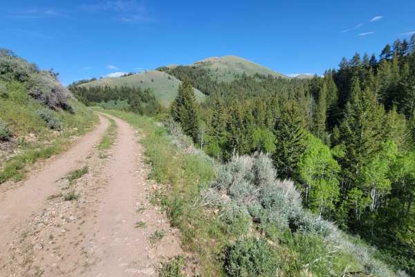 Sheep Canyon 2