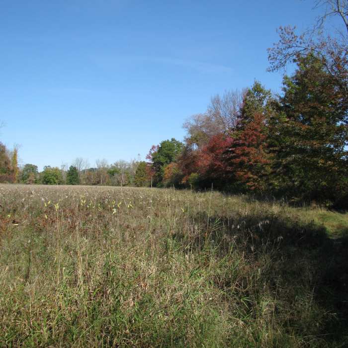 Near Fannie Stebbins Wildlife Refuge