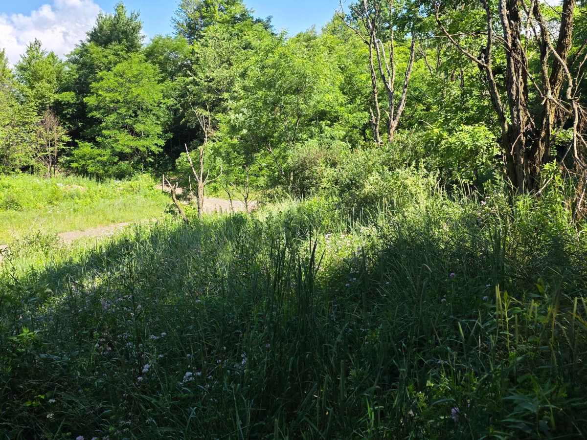 Single Track W photo 5