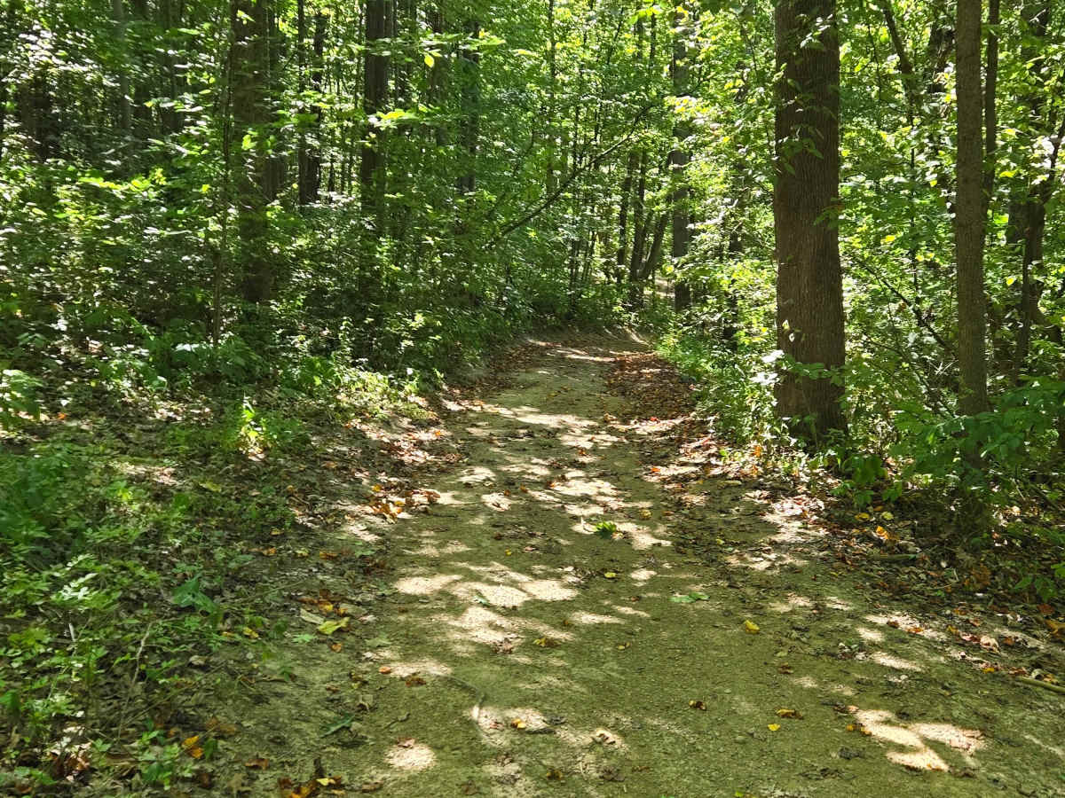 Trail 56 photo 2