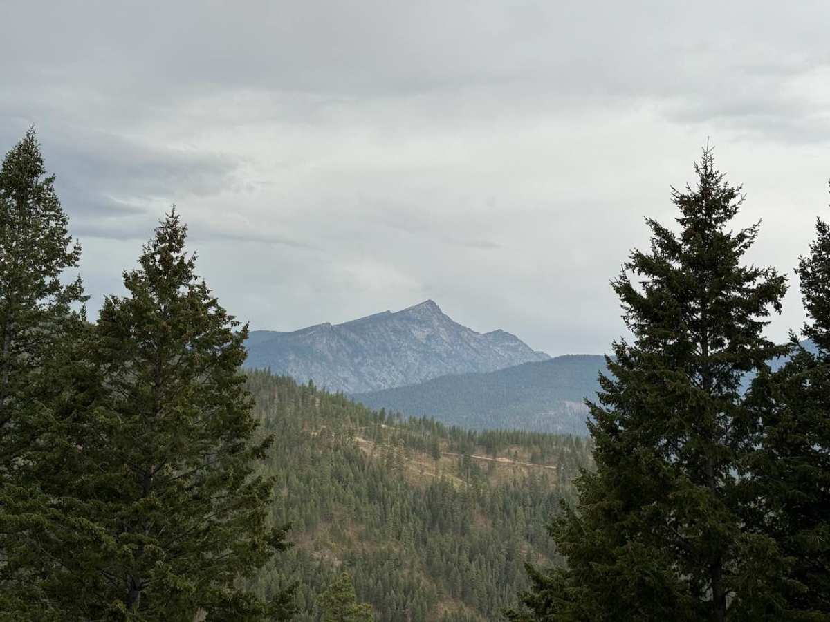 Eastside Piquett photo 5