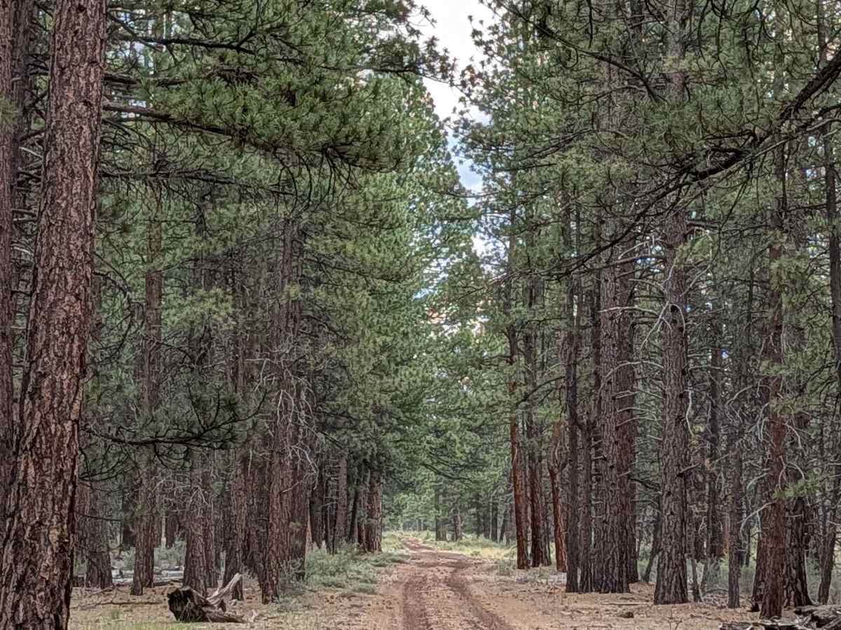 Antelope Well - FS 45N04 photo 3